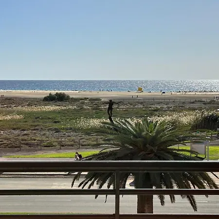 Welooveyou Emerald Jandia *